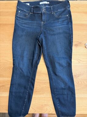 torrid Dark Indigo Skinny Jeans